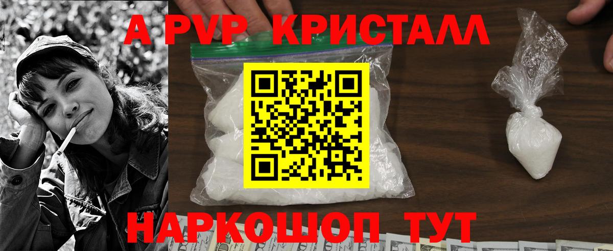 APVP СК Новотроицк