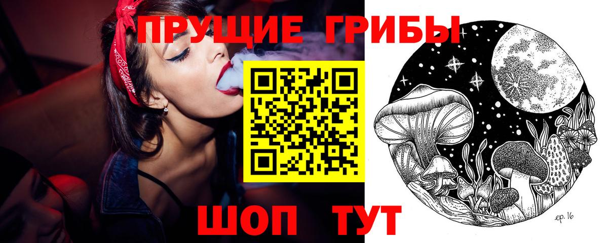 Псилоцибиновые грибы Psilocybe Новотроицк