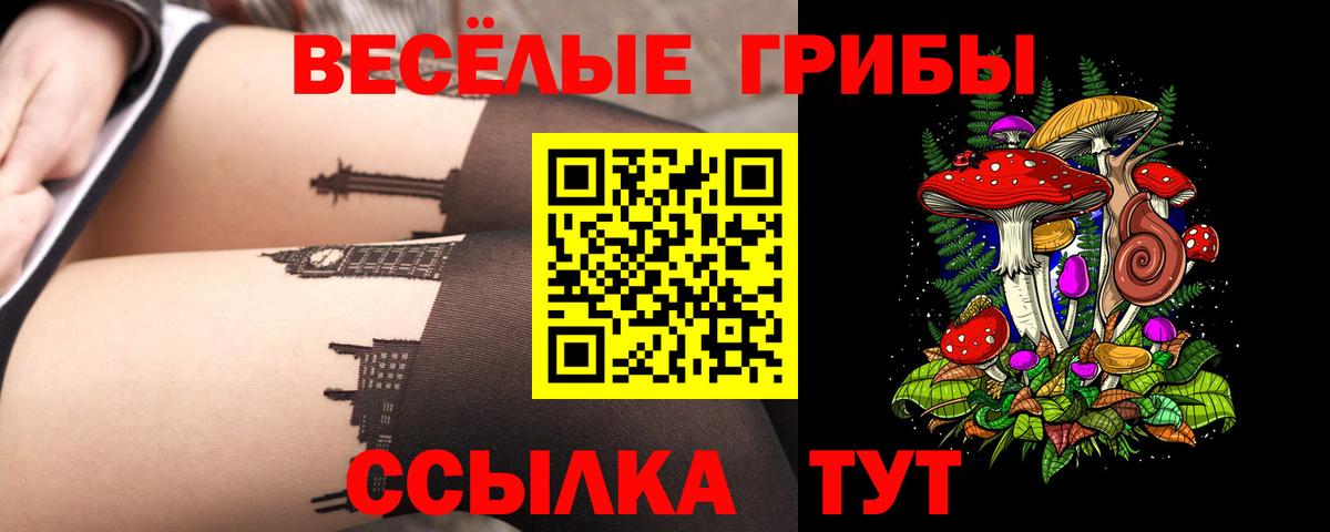 Псилоцибиновые грибы прущие грибы  Псилоцибиновые грибы Psilocybe  Вход с VPN  Новотроицк 